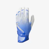 Nike Hyperdiamond Select Softball Gloves синий