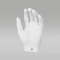 Nike Jordan Tour Regular для гольфу Glove (Left Regular) колір білий