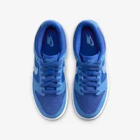 Nike Dunk Low SE Big дитячі Кросівки блакитний