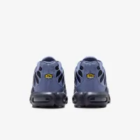 Nike Air Max Plus мужские Кроссовки синий