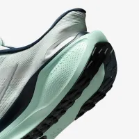 Nike Pegasus EasyOn жіноча Road Running Кросівки блакитний
