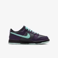 Nike Dunk Low Big детские Кроссовки цвет серый