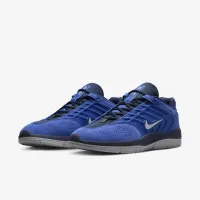 Nike SB Vertebrae чоловічі Кросівки блакитний