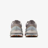 Nike Pegasus Premium чоловічі Road Running Кросівки колір сірий