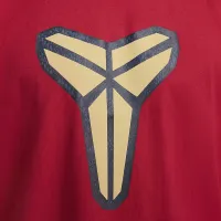 Nike Kobe мужские Max90 баскетбольные футболка цвет красный
