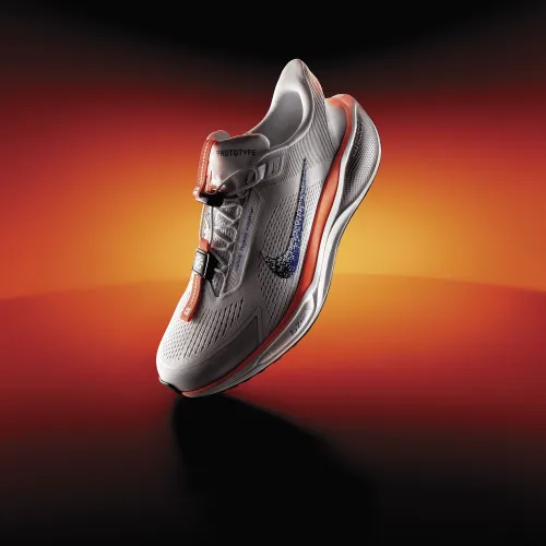 Nike Pegasus EasyOn синийprint мужские Road Running Кроссовки многоцветный