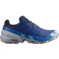 Кроссовки для бега w terenie SALOMON SPEEDCROSS 6 GTX Gore-tex (473020)