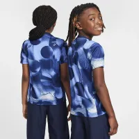 Tottenham Hotspur Academy Pro Big детские Nike Dri-FIT Soccer Pre-Match Short-Sleeve Top синий