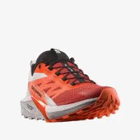 Кроссовки Salomon Sense Ride 5 L47046200 - Оранжевые