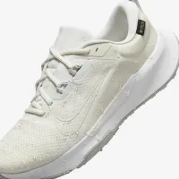 Nike Juniper Trail 2 GORE-TEX чоловічі Waterproof Trail Running Кросівки колір сірий