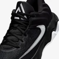 Nike Giannis Immortality 4 баскетбольные Кроссовки цвет черный