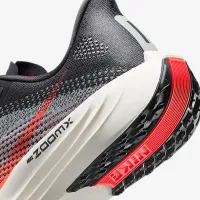 Nike Pegasus Plus мужские Road Running Кроссовки цвет серый