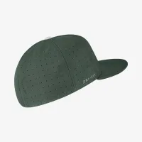 Michigan State Nike College Baseball Hat цвет зеленый