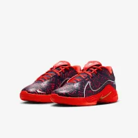 Nike LeBron XXII SE Big детские баскетбольные Кроссовки синий