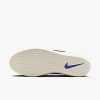 Nike SB Force 58 Premium Skate Кросівки колір сірий