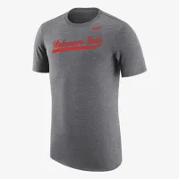 Delaware State мужские Nike College футболка цвет серый