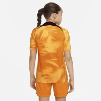 Netherlands 2022/23 Stadium Home Big дитячі Nike Dri-FIT Soccer Jersey Orange