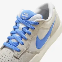 Nike SB Force 58 Skate Кроссовки цвет серый
