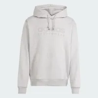 Кофта/футболка adidas Sportswear All Szn Fleece Graphic Толстовка с капюшоном IW1205 - Серая
