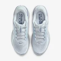Nike Pegasus Premium женская Road Running Кроссовки цвет серый