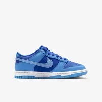 Nike Dunk Low SE Big дитячі Кросівки блакитний