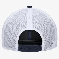 Michigan Nike College Snapback Trucker Hat синий