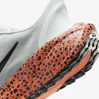 Nike Pegasus EasyOn Electric мужские Road Running Кроссовки многоцветный