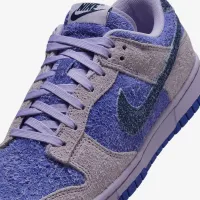 Nike Dunk Low SE жіноча Кросівки колір фіолетовий