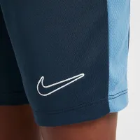 Nike Dri-FIT Academy дитячі Soccer шорти блакитний