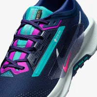Nike Pegasus Trail 5 GORE-TEX чоловічі Waterproof Trail Running Кросівки блакитний