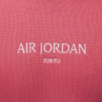 Nike Air Jordan Wordmark чоловічі Tokyo Fleece Pullover Толстовка з капюшоном Pink