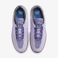 Nike SB Vertebrae мужские Кроссовки цвет фиолетовый