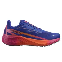 Кроссовки для бега Мужские Salomon AERO BLAZE 2 ISD (474646)