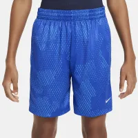 Nike Multi Big детские (для мальчиков) Dri-FIT шорты синий