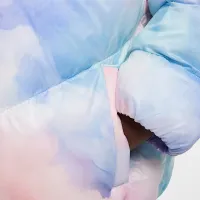 Nike Toddler Cinched Puffer Куртка многоцветный