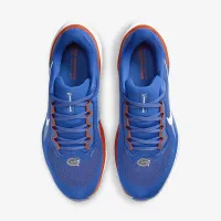 Florida Pegasus 41 чоловічі Nike College Road Running Кросівки блакитний