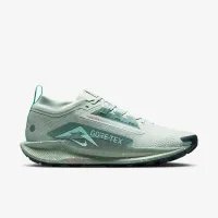 Nike Pegasus Trail 5 GORE-TEX мужские Waterproof Trail Running Кроссовки цвет серый