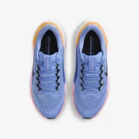 Nike Pegasus 41 Big детские Road Running Кроссовки синий