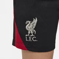 Liverpool FC Strike Big детские Nike Dri-FIT Soccer Knit шорты цвет черный