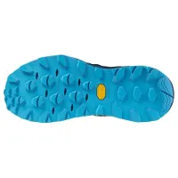 Кросівки для бігу w terenie Mizuno WAVE MUJIN 10 (J1GJ247002)