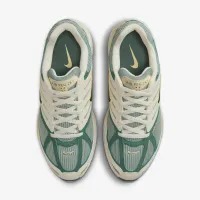 Nike Air Pegasus 2005 чоловічі Кросівки колір білий