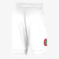 Ohio State чоловічі Nike College шорти колір білий