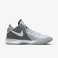 Nike LeBron NXXT Gen баскетбольные Кроссовки цвет серый