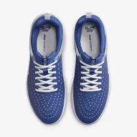 Nike SB Zoom Nyjah 3 Skate Кросівки блакитний