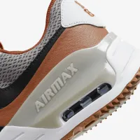 Nike College Air Max SYSTM (Texas) мужские Кроссовки цвет серый