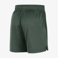 Milwaukee Bucks чоловічі Nike NBA Mesh шорти колір зелений
