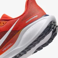 Virginia Pegasus 41 мужские Nike College Road Running Кроссовки Orange