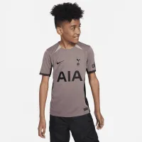 Tottenham Hotspur 2023/24 Stadium Third Big детские Nike Dri-FIT Soccer Jersey цвет коричневый