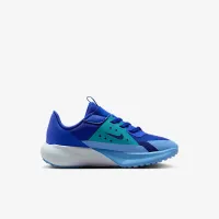 Nike Sonic Fly Little дитячі Running Кросівки блакитний