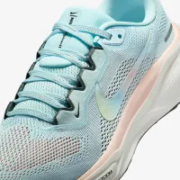 Nike Pegasus 41 PRM женская Road Running Кроссовки синий